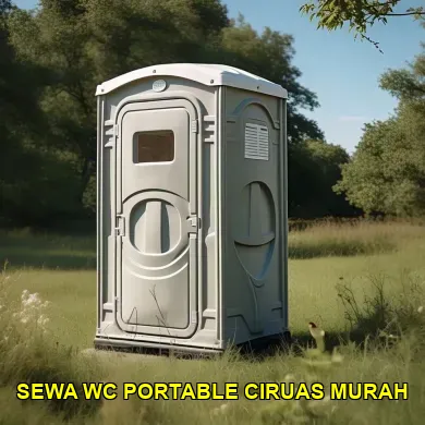 sewa wc portable ciruas murah